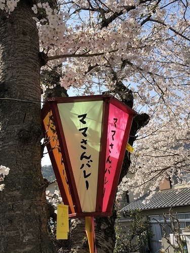 ぼんぼり.jpg
