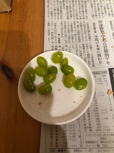 緑色の銀杏の実.jpg
