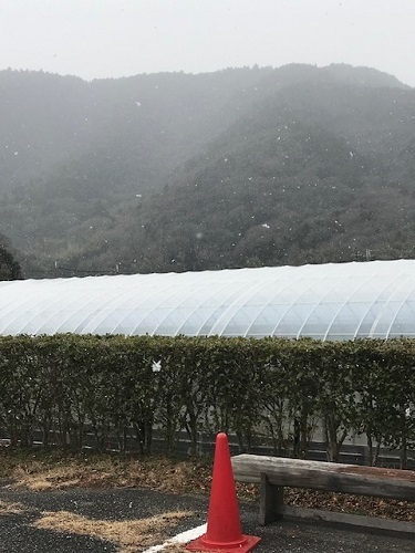 雪.jpg