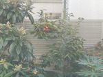 IMG_20181103_100402.jpg